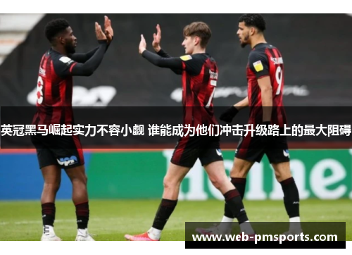英冠黑马崛起实力不容小觑 谁能成为他们冲击升级路上的最大阻碍