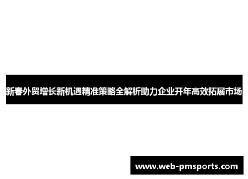 新春外贸增长新机遇精准策略全解析助力企业开年高效拓展市场