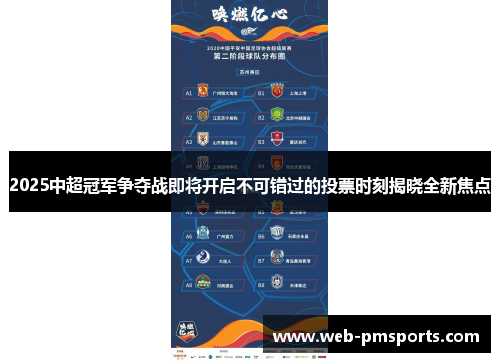 2025中超冠军争夺战即将开启不可错过的投票时刻揭晓全新焦点
