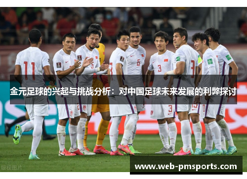 金元足球的兴起与挑战分析：对中国足球未来发展的利弊探讨